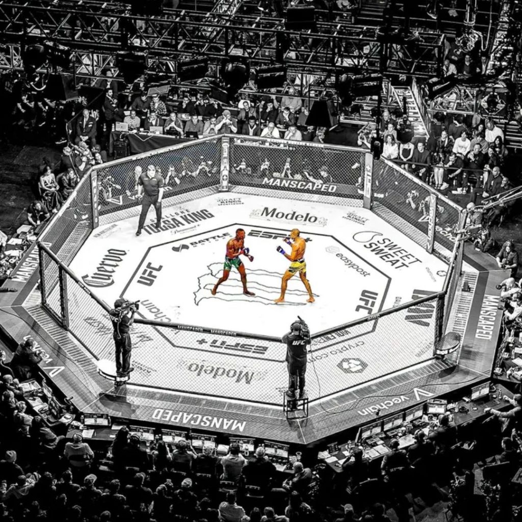 Ultimate Fighting Championship: From Near Bankruptcy to Monopoly&nbsp;Status